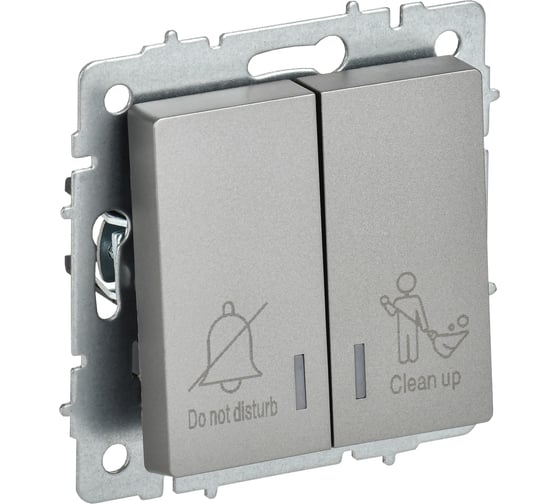 Изображение товара Выключатель 2-клавишный IEK BRITE с индикацией, для отелей, 10А, ВС10-2-9-БрС сталь BR-V20-2-10-K46