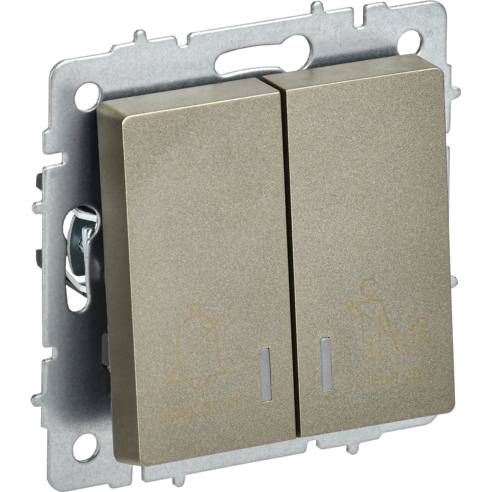 Изображение товара Выключатель 2-клавишный IEK BRITE с индикацией шампань для освещения