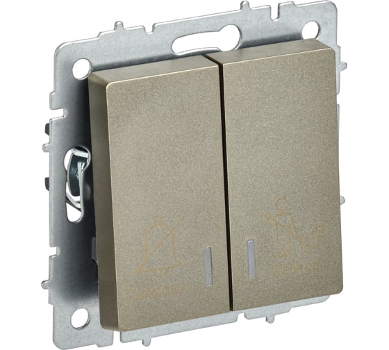 Изображение товара Выключатель 2-клавишный IEK BRITE с индикацией, для отелей, 10А, ВС10-2-9-БрШ шампань BR-V20-2-10-K37