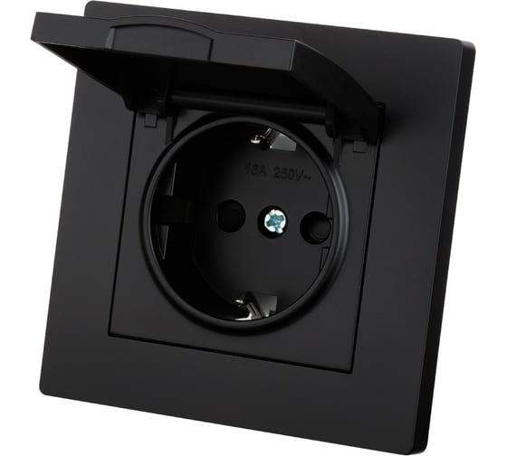 Изображение товара Розетка TDM ELECTRIC 2П+З 16А 250В IP44 с защ. шт. с крышкой черная Сенеж TDM SQ1816-0279