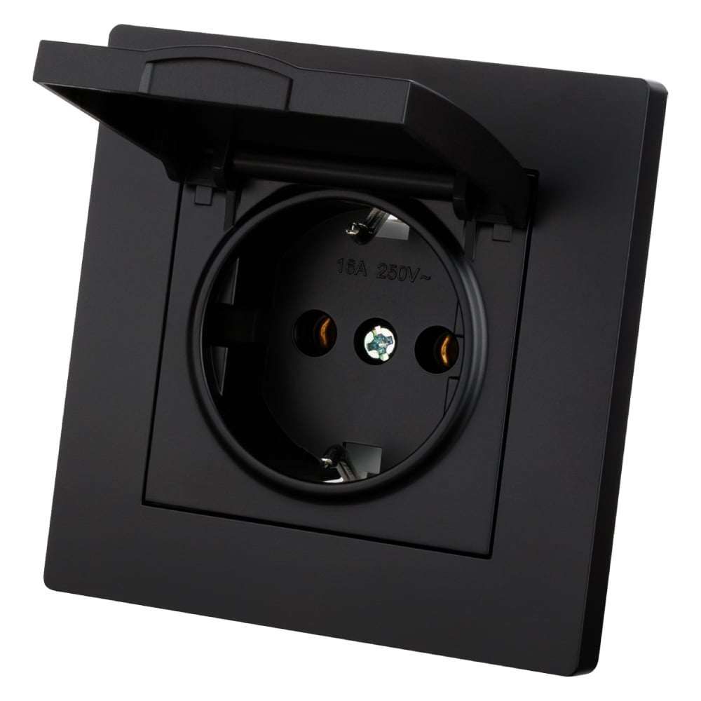Изображение товара Розетка TDM ELECTRIC 2П+З 16А 250В IP44 черная Сенеж