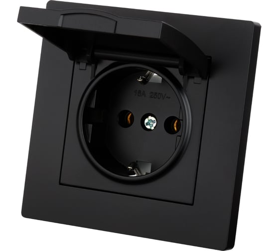 Изображение товара Розетка TDM ELECTRIC 2П+З 16А 250В IP44 с крышкой черная Сенеж TDM SQ1816-0278