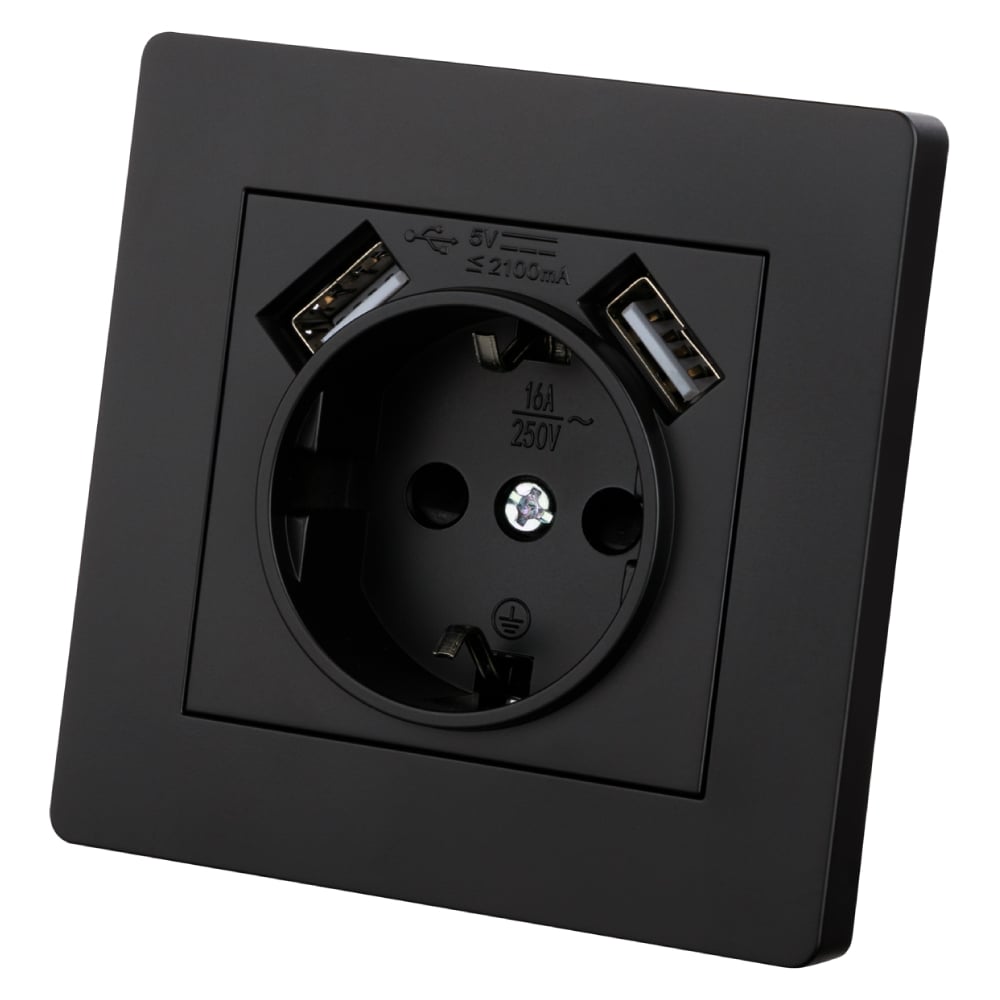 Изображение товара Розетка TDM ELECTRIC 2П+З 16А 250В с 2 USB портами черная