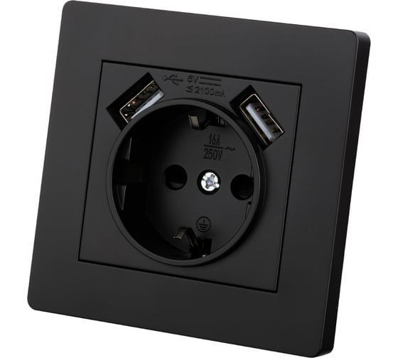 Изображение товара Розетка TDM ELECTRIC 2П+З 16А 250В + 2 USB порта 2,1А 5В черная Сенеж TDM SQ1816-0283