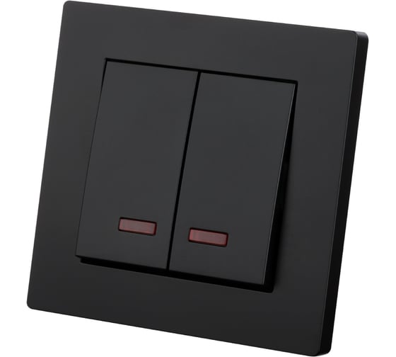 Изображение товара Выключатель TDM ELECTRIC 2 клавишный с подсветкой 10А черный Сенеж TDM SQ1816-0305