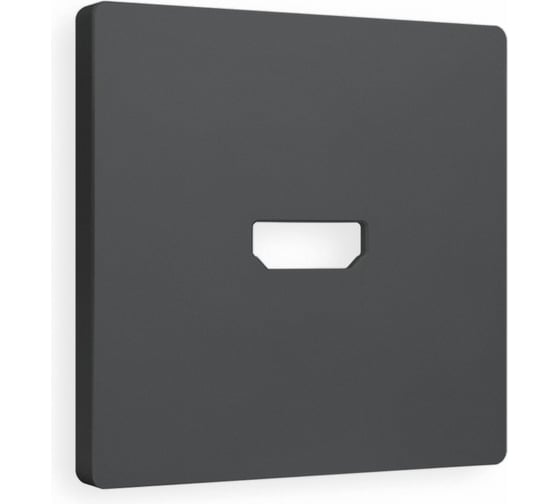 Изображение товара Лицевая панель Ambrella VOLT для HDMI розетки ALFA AP9140