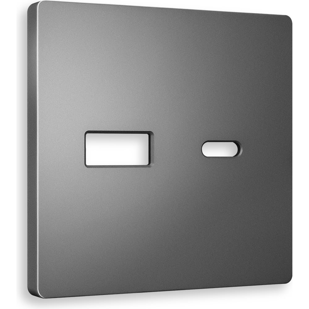Изображение товара Лицевая панель Ambrella VOLT для розетки 2USB тип A+C ALFA AP6610