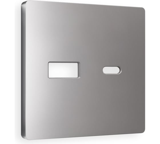 Изображение товара Лицевая панель Ambrella VOLT для розетки 2USB тип A+C ALFA AP5110