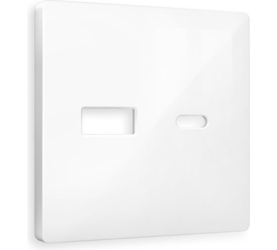 Изображение товара Лицевая панель Ambrella VOLT для розетки 2USB тип A+C ALFA AP1110