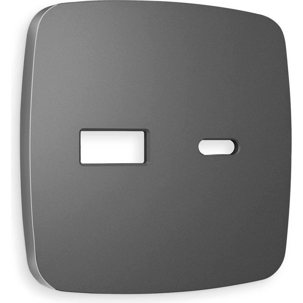 Изображение товара Лицевая панель Ambrella VOLT для розетки 2USB тип A+C ОMEGA OP6610
