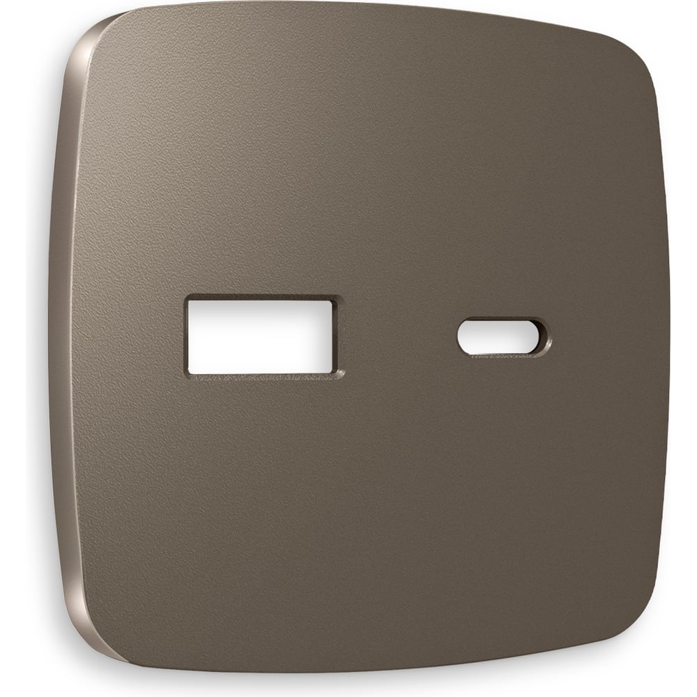 Изображение товара Лицевая панель Ambrella VOLT для розетки 2USB тип A+C OMEGA OP6410
