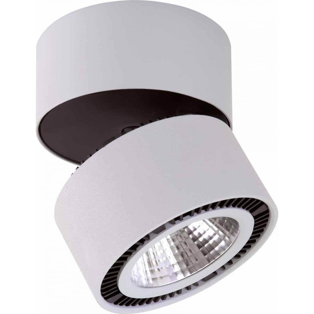 Потолочный светодиодный светильник Lightstar, цвет светло-серый/черный 214859 - фото 1