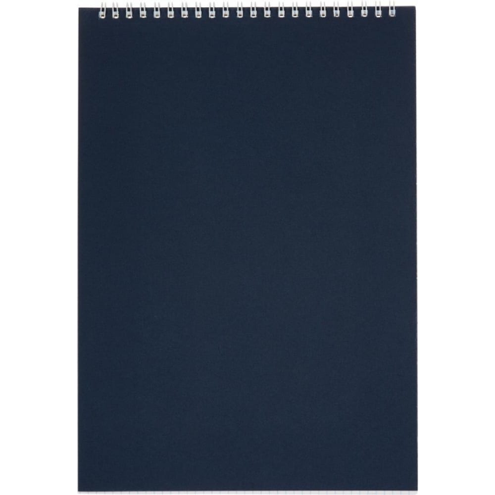 Блокнот Альт фотоальбом на 20 магнитных листов 23х28 см винил обложка внутр спираль classique синий