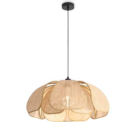 Изображение товара Подвесной светильник Freya Cocoon Черный FR5529PL-01B