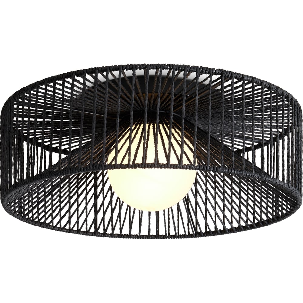 Изображение товара Потолочный светильник Freya Cottage черный FR5405CL-01B с одной лампой 40 Вт стиль сканди