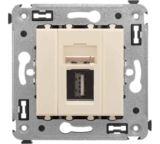 Изображение товара Розетка DKC USB 2.0 одинарная в стену, тип А А, Avanti, Ванильная дымка 1 ШТ 4405403