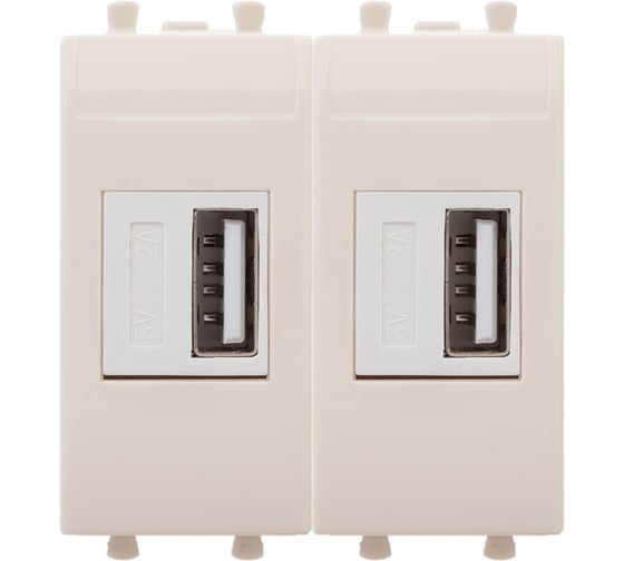 Изображение товара USB зарядное устройство DKC модульное, Avanti, Ванильная дымка, 2 модуля, 2.1 А 1 ШТ 4405542