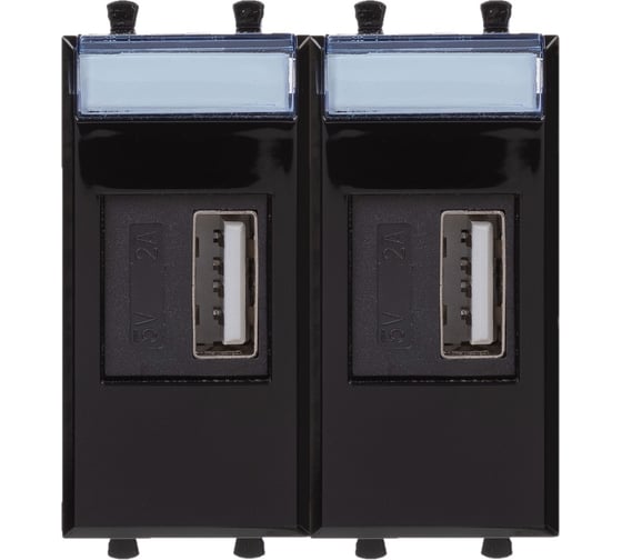 Изображение товара USB зарядное устройство DKC модульное, Avanti, Черный квадрат, 2 модуля, 2.1 А 1 ШТ 4402542