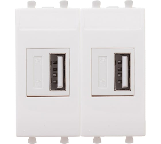 Изображение товара USB зарядное устройство DKC модульное, Avanti, Белое облако, 2 модуля, 2.1 А 1 ШТ 4400542