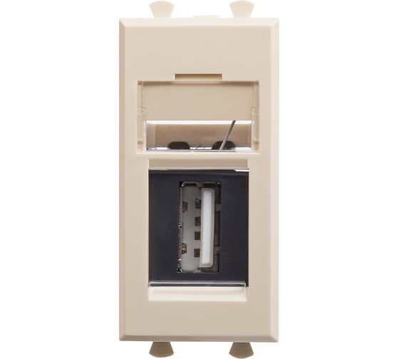 Изображение товара Розетка DKC USB 2.0 модульная, тип А А, Avanti, Ванильная дымка, 1 модуль 1 ШТ 4405401