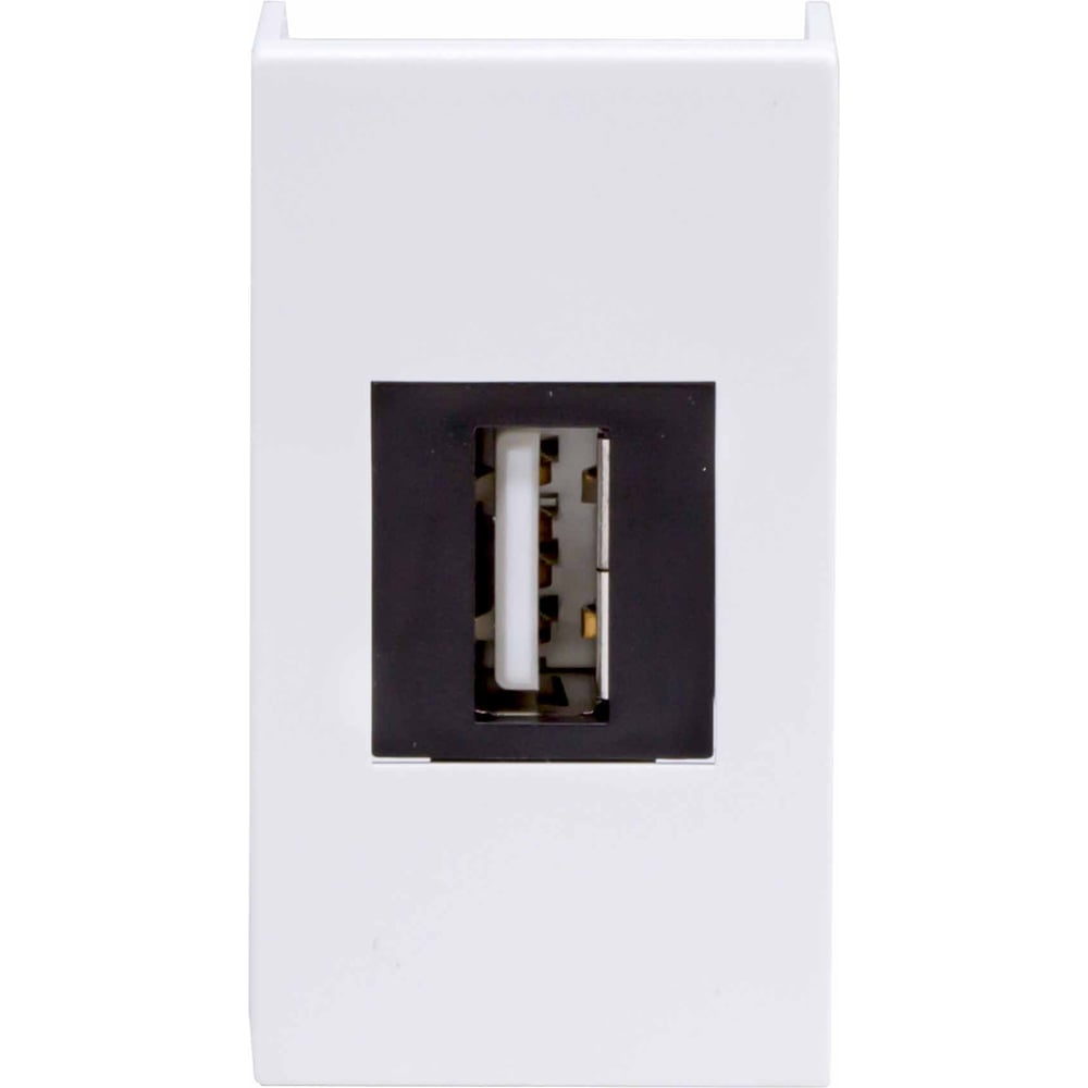 Изображение товара Розетка USB DKC Viva белая 1 модуль для встроенной установки