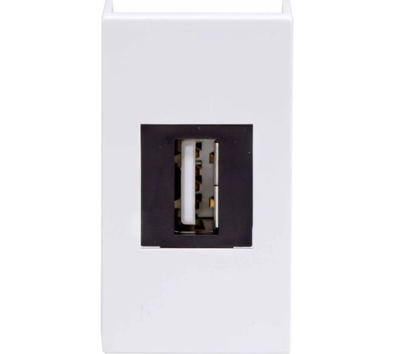 Изображение товара Розетка DKC USB 2.0, Viva, белая, 1 модуль 1 ШТ 42018