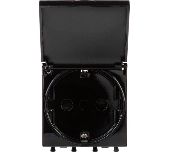 Изображение товара Розетка DKC с крышкой, модульная, 2P E, с защитными шторками, Avanti, Черный квадрат, 2 модуля, 1 шт. 4402012