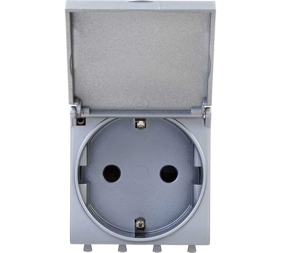 Изображение товара Розетка DKC с крышкой, модульная, 2P E, с защитными шторками, Avanti, Закаленная сталь, 2 модуля, 1 шт. 4404012