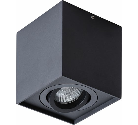 Изображение товара Потолочный светильник Arte Lamp FACTOR A5544PL-1BK