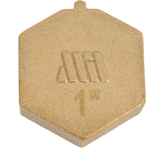 Изображение товара Заглушка латунная под пломбу Millennium 1" с внутренней резьбой LZFP1010