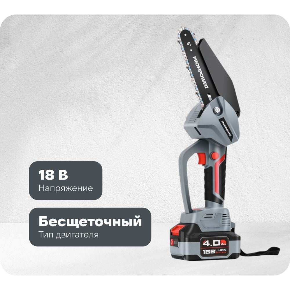 Изображение товара Аккумуляторная бесщеточная цепная пила Profipower MKGST-18V (Li-ion-2шт, 2.0Ач, 0-4500 об/мин, З/У, коробка) E0097