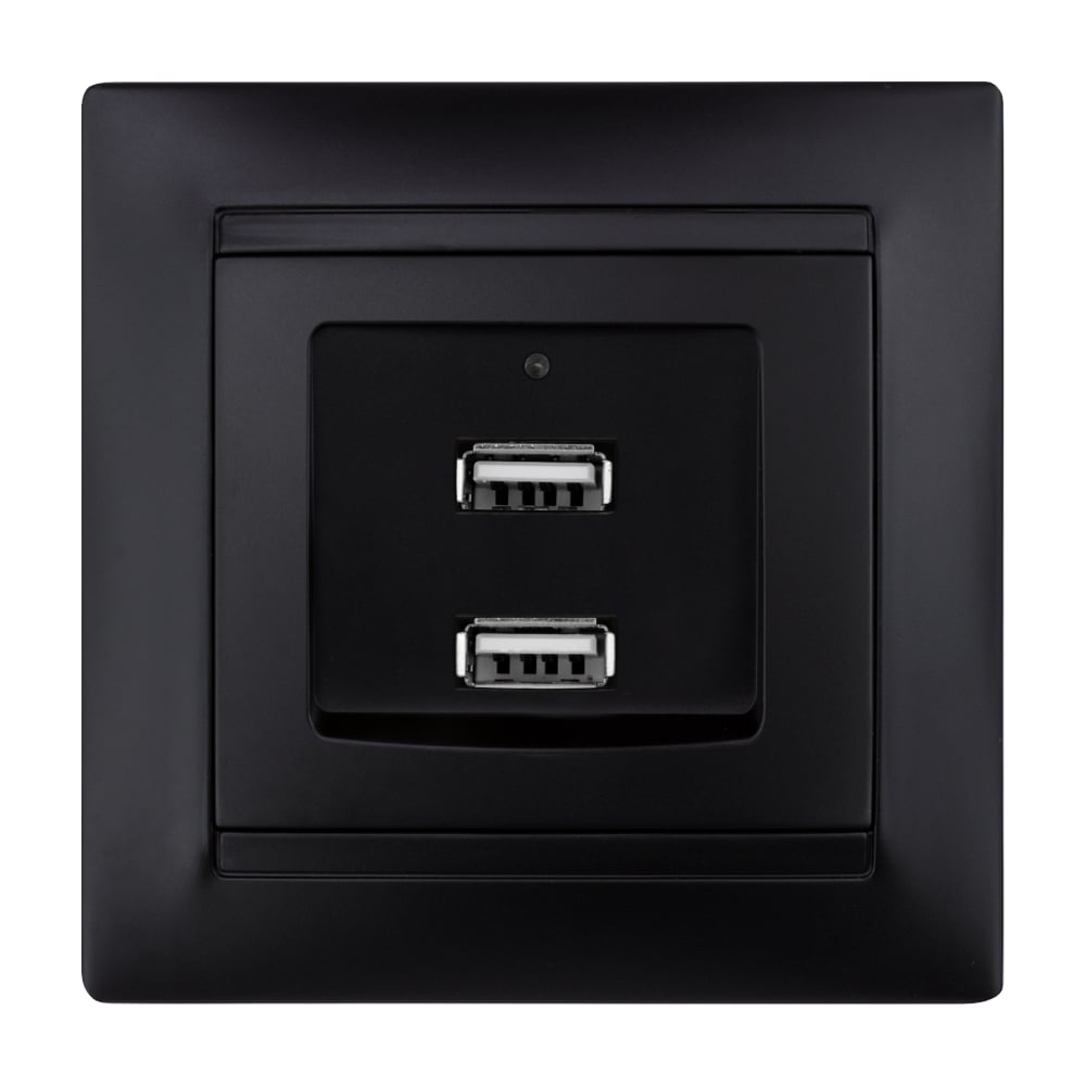 Розетка TDM ELECTRIC 2USB порт 2,1А 5В графит Лама TDM SQ1815-0641