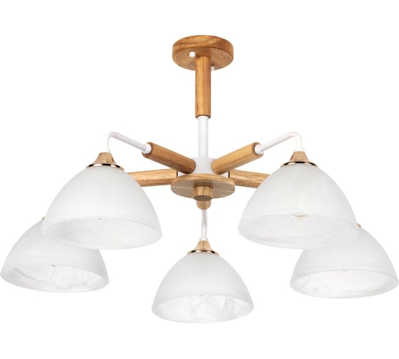 Изображение товара Потолочная люстра Arte Lamp MATTHEW A5032PL-5BR