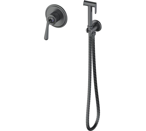 Изображение товара Встраиваемы смеситель с гигиеническим душем Wonzon & Woghand STEAM, Темный графит WW-88849008-BGM