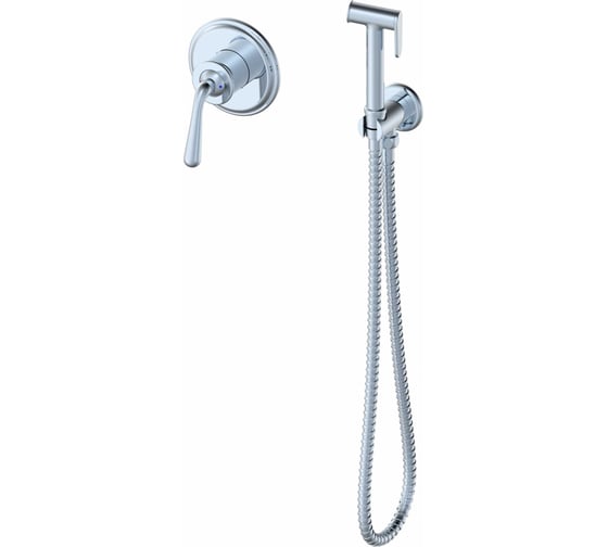 Изображение товара Встраиваемы смеситель с гигиеническим душем Wonzon & Woghand STEAM, хром WW-88849008-CR