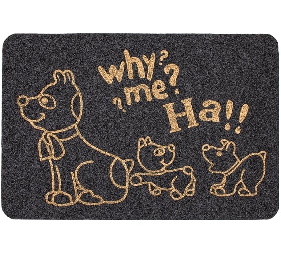 Изображение товара Влаговпитывающий коврик ComeForte ВЕЛЮР ПОЧЕМУ Я 50х80 см серый TCLR/W-902