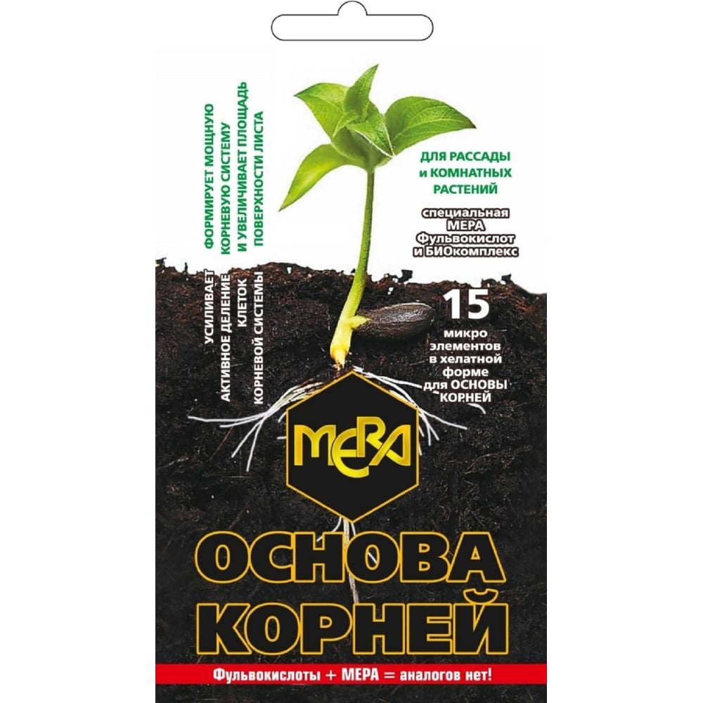 Приставка корень окончание. Корни с лексическим значением. Происхождение слова русь. Корневая основа. Корневая основа.