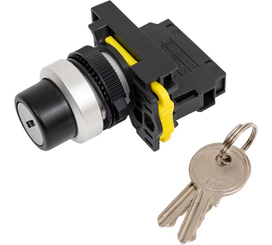 Изображение товара Переключатель ANDELI LA115-A5-A5-10Y/21 1НО с ключом 2 положения ADL10-299