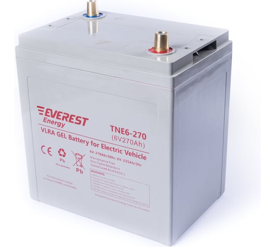 Изображение товара Тяговая аккумуляторная батарея EVEREST Energy TNE 6-270
