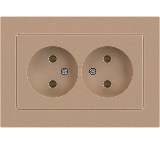 Изображение товара Розетка Intro Accent 620404 2x2P, 16А250В, IP20, скрытой установки, AL/CU, шампань Б0063462