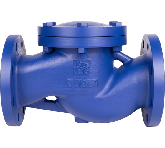 Изображение товара Клапан обратный подъемный RUSHWORK РАШВОРК, DN080, PN16, корпус - GJL-250 (GG25), клапан - AISI420, уплотнение - AISI420, Ф/Ф 487-080-16