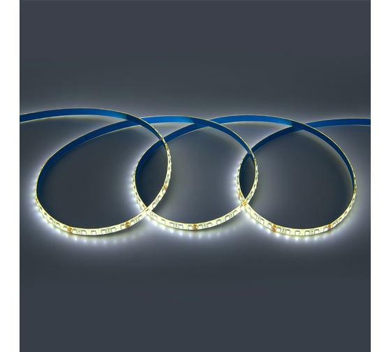 Изображение товара Лента светодиодная General Lighting Systems GLS-Standard GLS-2835-120-9.6-24-IP65-6, 5 метров, 9,6Вт/м, 24В, 8мм, 120 диодов/м, 7 Лм/чип, IP65, 6500K - холодный белый свет 501512