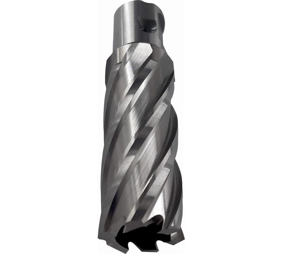 Изображение товара Сверло корончатое Буревестник 17x50 мм, HSS, Universal / Weldon 19 B023630