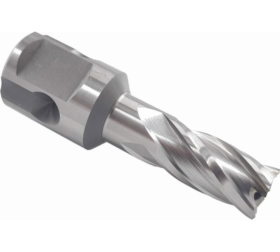 Изображение товара Сверло корончатое Буревестник 12x50 мм, HSS, Universal / Weldon 19 B023624