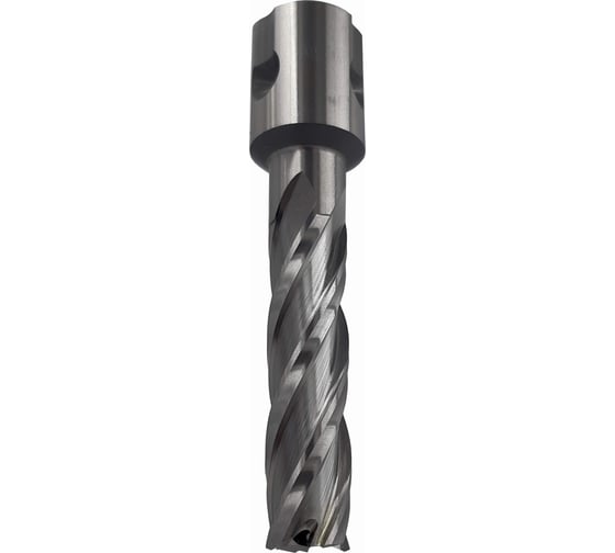 Изображение товара Сверло корончатое Буревестник 14x50 мм, HSS, Universal / Weldon 19 B023627