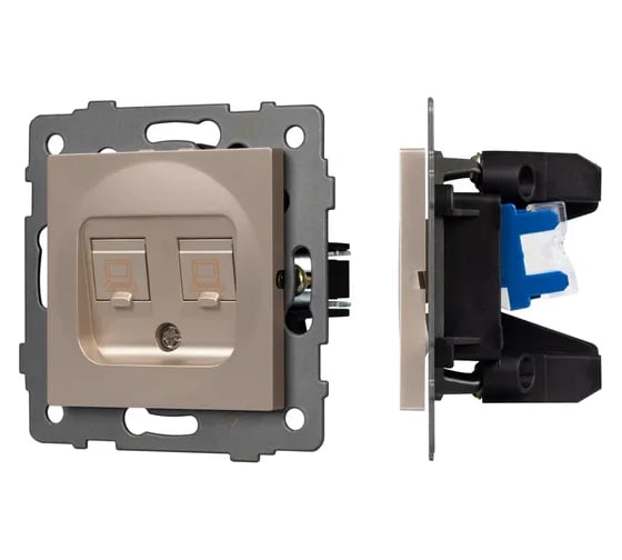 Изображение товара Механизм компьютерной розетки Arlight двойной SCT-MPC2-PL-GD-V 1шт 0 049850