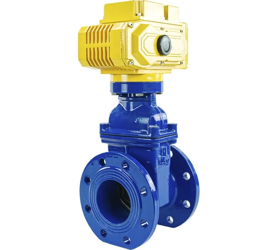 Изображение товара Задвижка клиновая DN.ru 30ч939р Ду100 Ру16 с электроприводом MT-100 380В, цвет - синий D040-00778