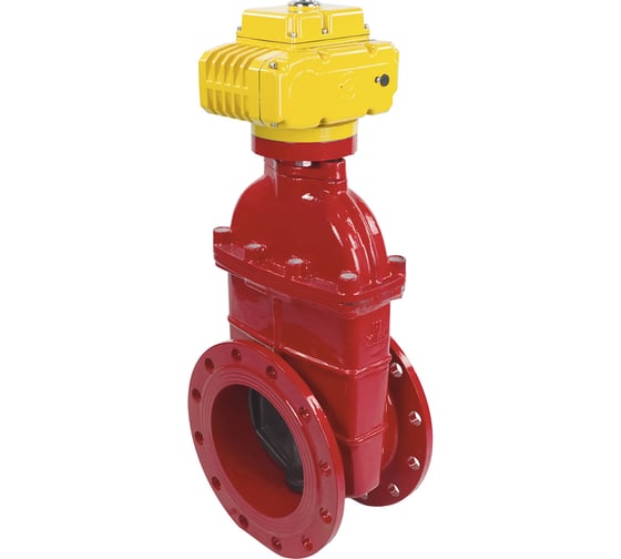 Изображение товара Задвижка DN.ru 30ч939р GGG50-EPDM-F4-RED Ду250 Ру16 электропривод MT-300 380В D040-00752