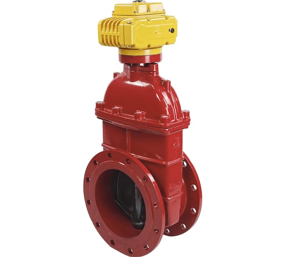 Изображение товара Задвижка DN.ru 30ч939р GGG50-EPDM-F4-BLUE Ду300 Ру10 электропривод MT-300 380В D040-00809