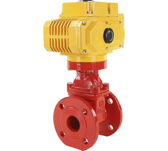 Изображение товара Задвижка клиновая DN.ru 30ч939р Ду50 Ру16 с электроприводом MT-100 380В, цвет - красный D040-00716